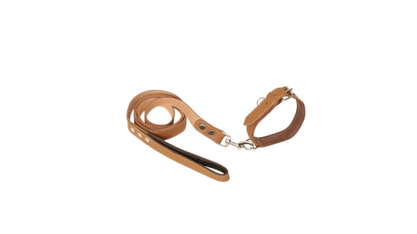 Premium Leather Dog Collar & Leash Set – Durable Cowhide Pet Accessory